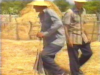CAMPO - (92)